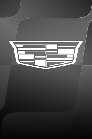 Cadillac F1 Team