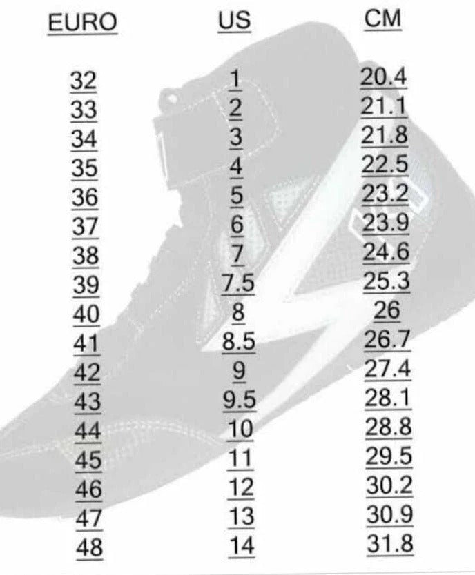 2018 Charles Leclerc  F1 Racing Shoes